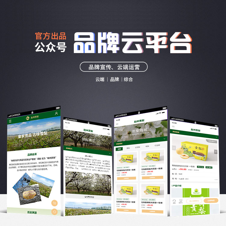 特色农业品牌宣传推广官网+电商公众号